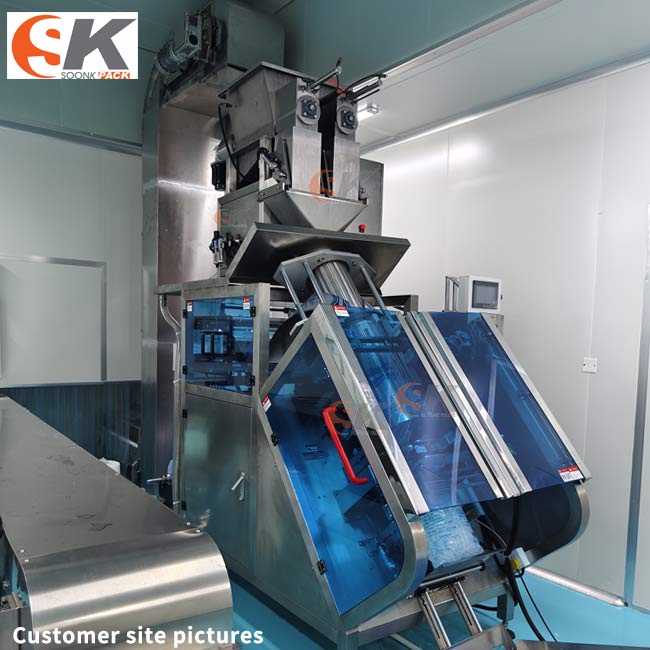 SK-L780 fully automatic ice cube packing machine